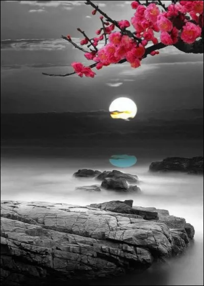 Complétez ce titre : "Le vagabond..."