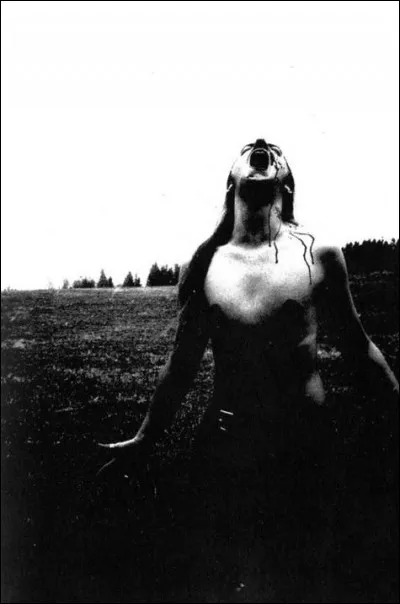 Nattramn, le chanteur du groupe de Suicidal Black Metal Silencer, a été admis en hôpital psychiatrique après avoir attaqué une petite fille avec une hache.