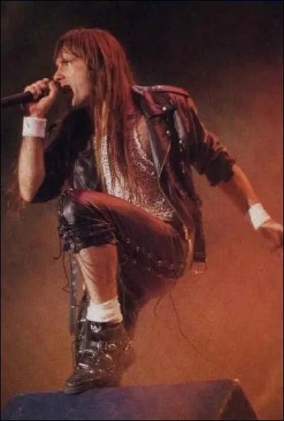 Bruce Dickinson a personnellement transporté une tortue malade dans son avion pour la ramener à sa maison.