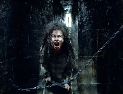 Comment est la baguette de Bellatrix Lestrange?