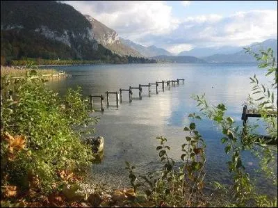 Il existe des animaux capables de marcher sur l'eau.
