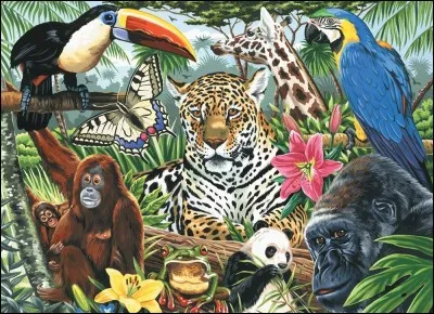 Combien d'animaux mangent avec leur queue ?