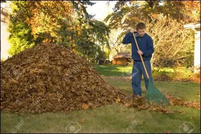 3 bénévoles ratissent les rues de Toulouse. L'un fait 3 tas. Le deuxième en fait le triple. Et le dernier en fait le tiers de la somme des deux premiers. Quand les 3 bénévoles mettront le fruit de leur labeur en commun, combien de tas auront-ils devant eux ?