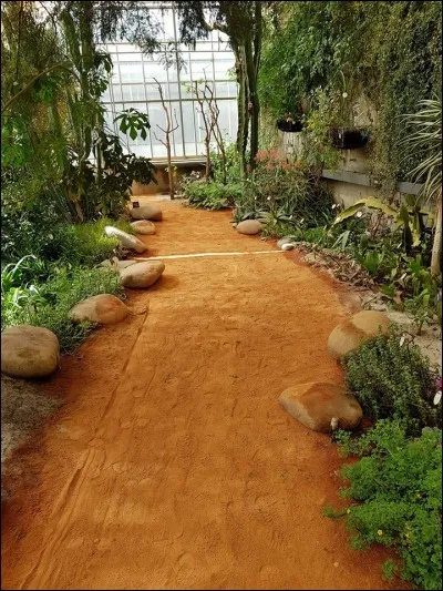 Lors de la saison froide et sèche en Afrique du sud, de combien de Celsius varient les températures ?