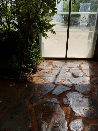 Lorsque l'on rentre dans le premier espace de la serre, à quoi fait-on face ?