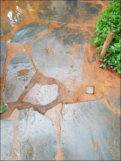 De quoi les allées sinueuses sont-elles faites ?