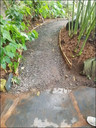 Pourquoi les rebords des chemins sont-ils fait de bambous ?