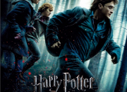Quiz Harry Potter et les Reliques de la Mort, 1re partie