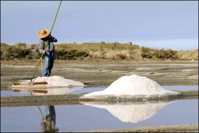 En moyenne, les salines de Guérande produisent environ 10 000 tonnes de sel chaque année.