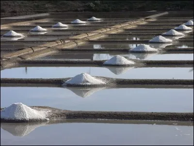 Chaque année il faut refaire les levées de terre qui permettent la circulation. Vrai ou faux ?