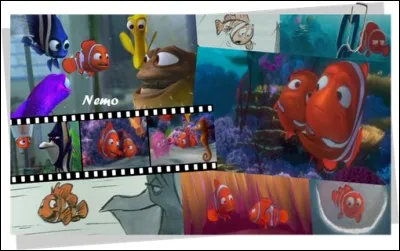 Dans "Le monde de Némo", quelle espèce d'animal marin Marin ne rencontre-t-il pas?