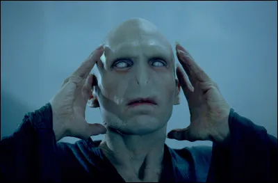 N°4 : Lord Voldemort (Harry Potter)
Lequel de ces personnages n'a pas été tué par Voldemort ?