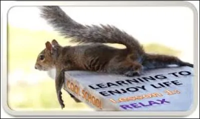 Quel adverbe peut-on associer aux Anglais selon ce qui se dit d'eux ?