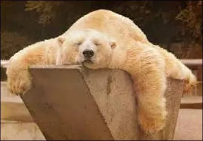 Mais qui est relax, sans stress ?