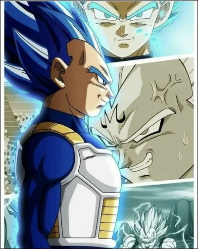 Quel est le nom de la femme de Vegeta ?