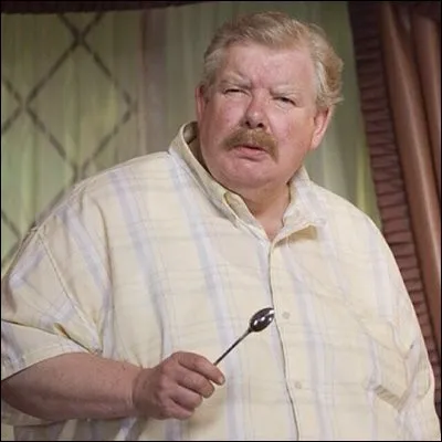 M Dursley aime-t-il Harry et pourquoi ?