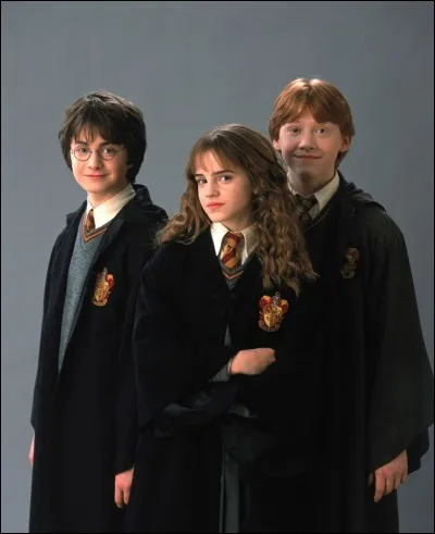 À la fin, Ron, Hermione et Harry tuent ...