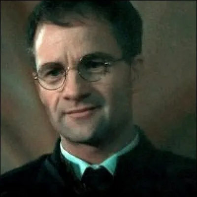 Dans les livres, quel poste occupe James Potter dans l'équipe de Quidditch ?