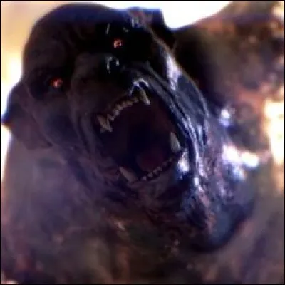 Dans la saison 1, qui est l'Alpha ?