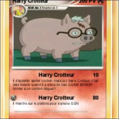 Quelle est ta célébrité préférée ?