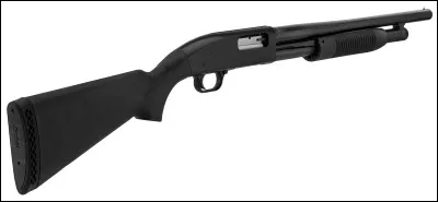 Quelle est cette arme ?