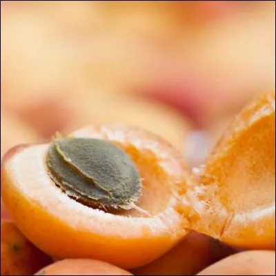 On peut voir deux abricots sur cette photo