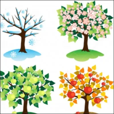 Quelle est ta saison préférée ?