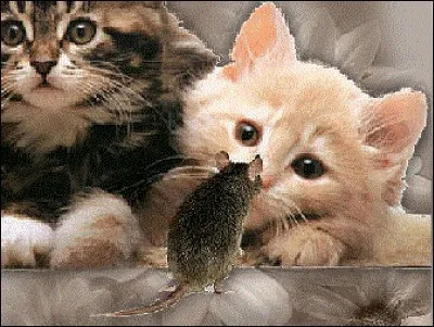 Comment est la "Dame souris" qui trotte au 4e vers dans un poème de Verlaine ?