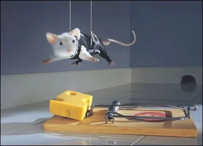 De qui la souris peut-elle se rire ?