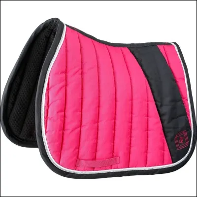 Comment appelle-t-on cet objet ?