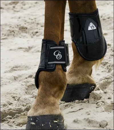 Comment appelle-t-on cet objet ?