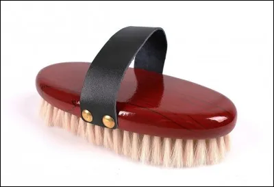 Quel est le nom de cette brosse ?