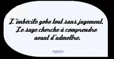 Imbécile !