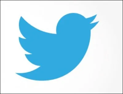 Quel est ce logo de réseau social très connu ?