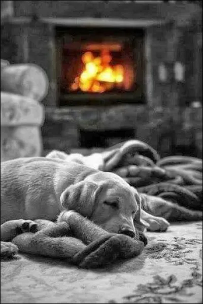 Qui chantait "Quand je sens dans tes yeux comme un départ de feu, mon amour oublie que je l'aime ..."