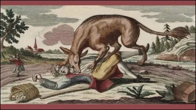 Quelle b&ecirc;te a tu&eacute; beaucoup d'animaux en France ?