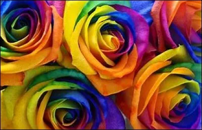 Quelle est ta couleur préférée ?