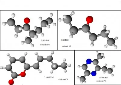 S) Séduction sexuelle. Les phéromones (substances chimiques olfactives) jouent-elles un rôle dans la séduction sexuelle humaine ?