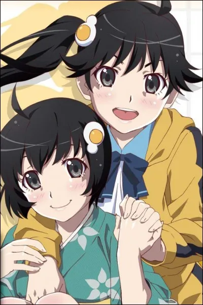 Comment s'appelle le duo formé par les deux sœurs de Koyomi Araragi ?