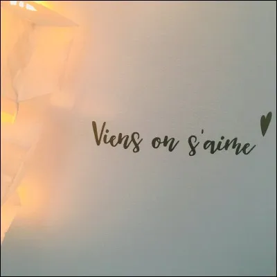 Qui chante "Viens on s'aime" ?