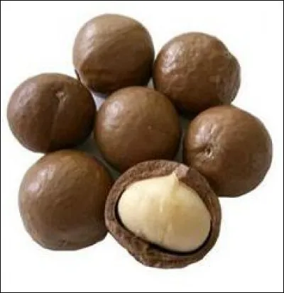 Quel beurre ayant des propriétés hydratantes, et utilisé en cosmétique, est issu de cette noix ?