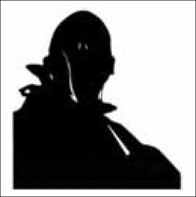 Quelle est cette ombre ?