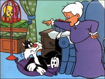 À qui appartiennent Titi et Gros Minet ?