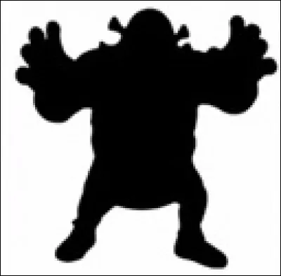 Quelle est cette ombre ?