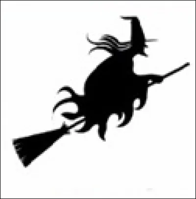 Quelle est cette ombre ?