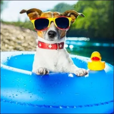 Italien : Comment dit-on un verre d'eau en italien ?