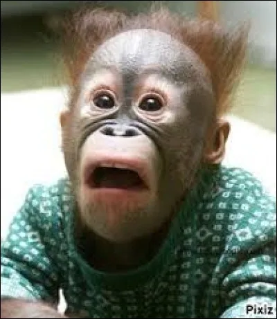 Qui ne mène à rien, est inutile, fait perdre du temps.