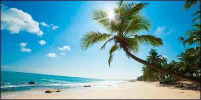 Quand tu vas à la plage, qu'est-ce que tu fais en premier ?