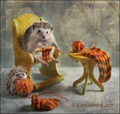 Comment obtient-on la maille jersey ?