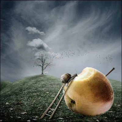 Laquelle est une pomme ?